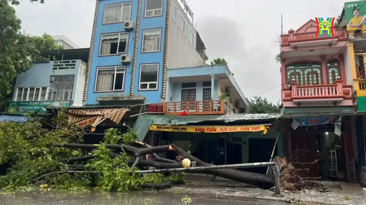 Đài PTTH Hà Nội